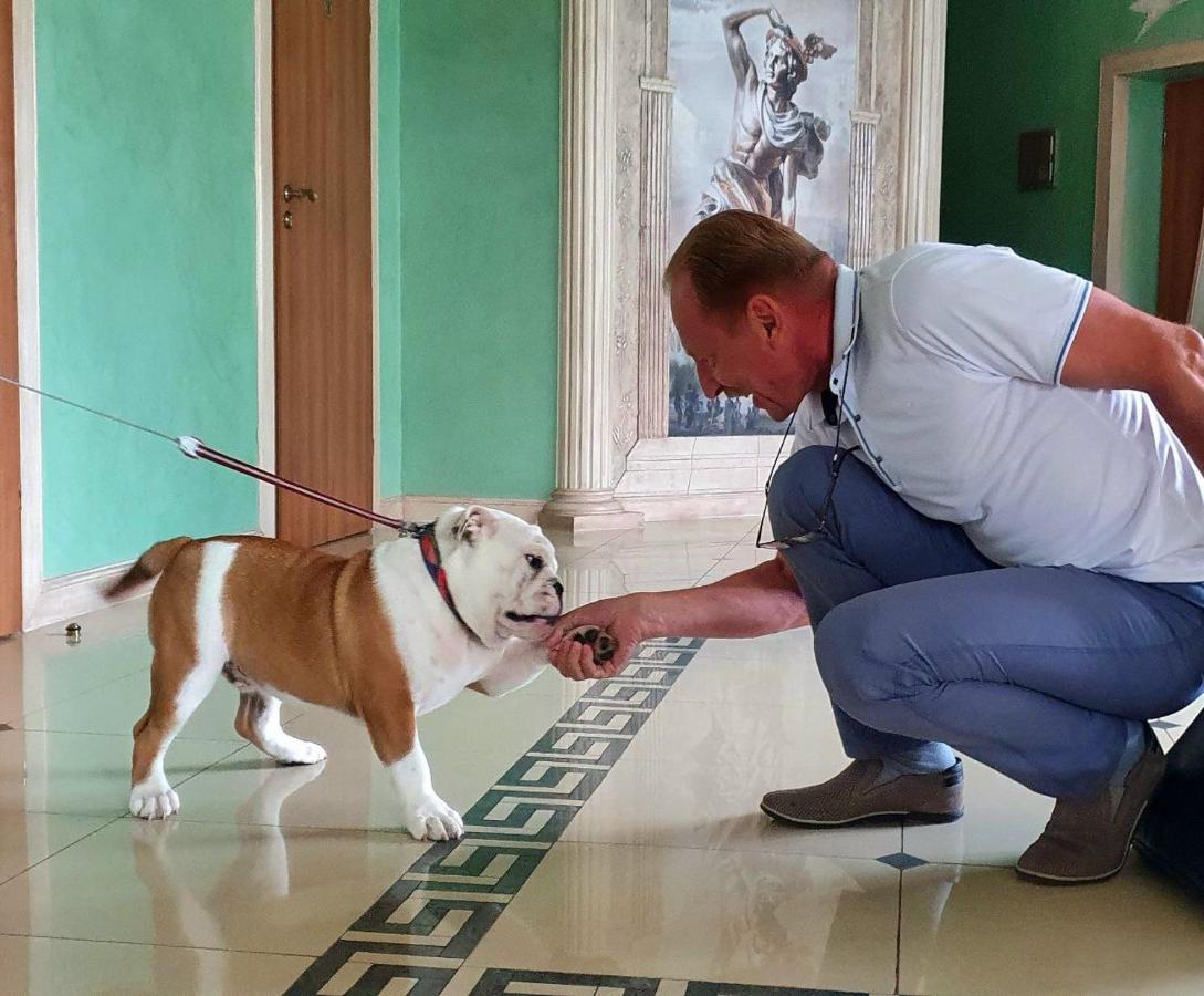 Hermes Resort Hotel With Medical Treatment トラスコヴェッツ エクステリア 写真