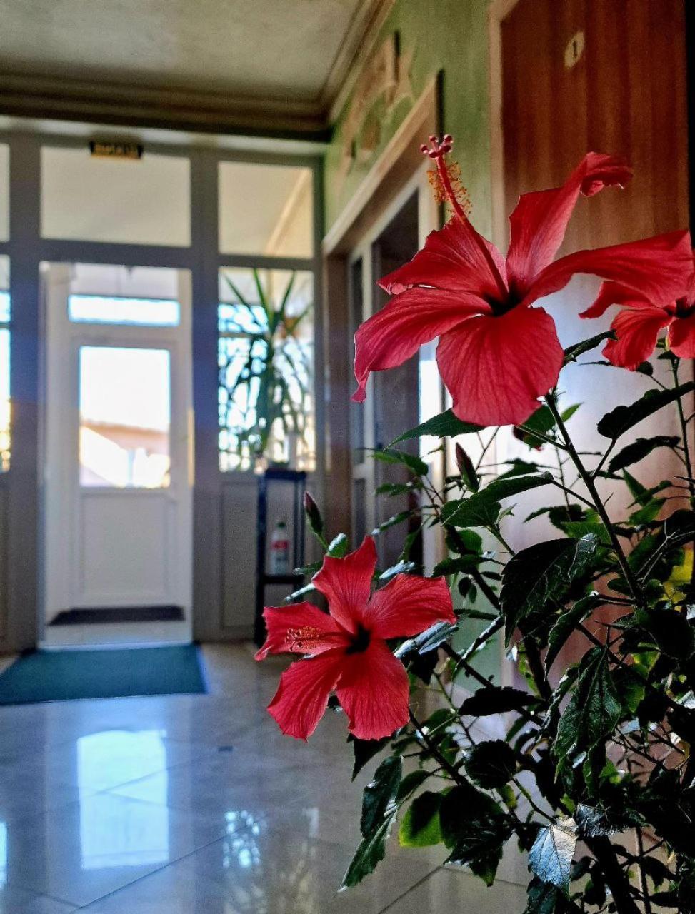 Hermes Resort Hotel With Medical Treatment トラスコヴェッツ エクステリア 写真