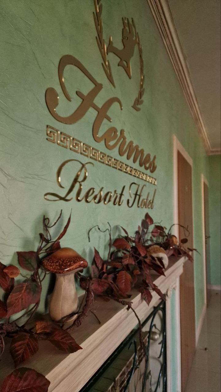 Hermes Resort Hotel With Medical Treatment トラスコヴェッツ エクステリア 写真